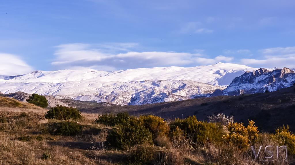 Green Peaks B&B Country House Alojamiento Rural Cortijo de Balsain Ngoại thất bức ảnh